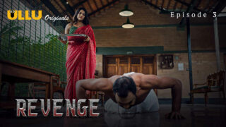 Revenge 3 1