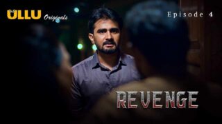 Revenge 4