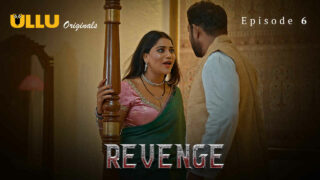 Revenge 6 1